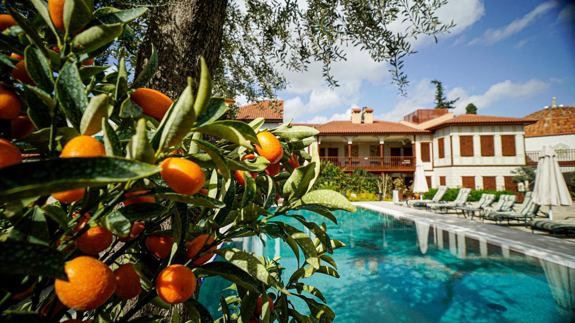 Ruinadalia - Adult Only Otel 2*
